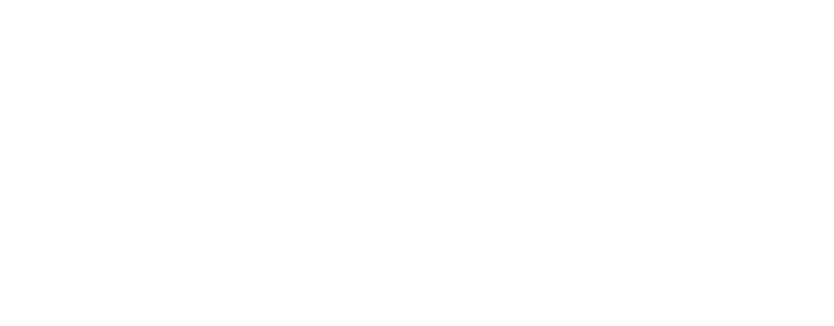 Blackswan.global